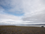 Islandija: Paklydę Dykumoje (2023)